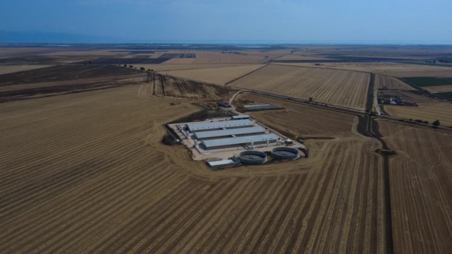Annessi agricoli a Zapponeta: vista aerea del complesso tra i campi